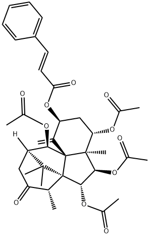 7β-Acetoxytaxuspine C