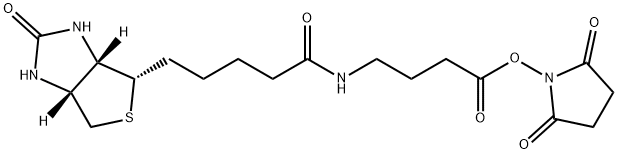Biotin-丁氨酸-NHS