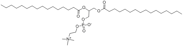 1,2-Dipalmitoyl-rac-glycero-3-phosphocholine