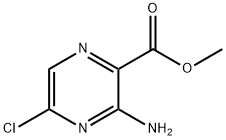 CasImg