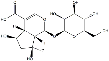 Shanzhiside