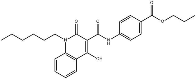 GSA 10