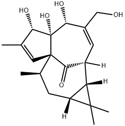 巨大戟醇