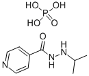 305-33-9结构式