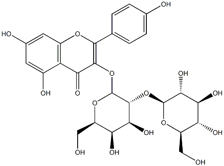 人参黄酮苷;