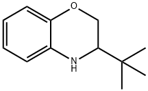 3-(叔丁基)-3,4-二氢-2H-1,4-苯并恶嗪