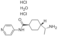 Y-27632 Dihydrochloride Hydrate