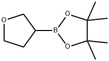 4,4,5,5-四甲基-2-(四氢呋喃-3-基)-1,3,2-二氧杂环戊硼烷