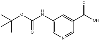 5-Boc-氨基烟酸