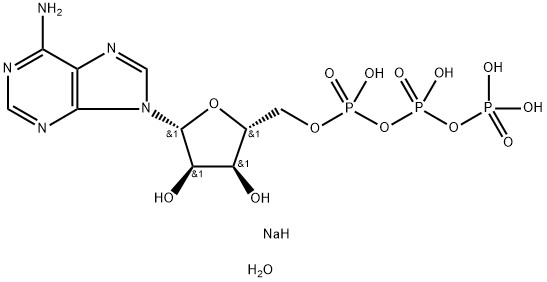 5`-三磷酸腺苷二钠盐水合物