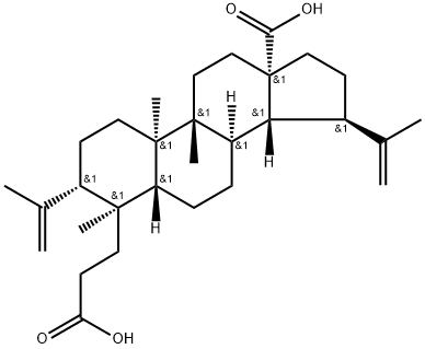 3,4-Secolupa-4(23),20(29)-diene-3,28-dioic acid