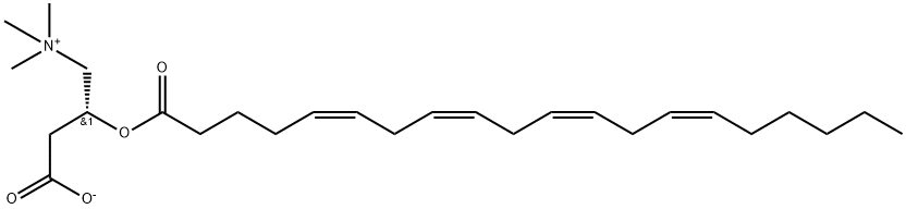 Arachidonyl-L-carnitine