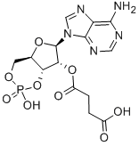 2′-O-Monosuccinyladenosine 3′:5′-cyclic monophosphate