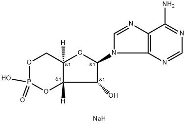 腺苷-3',5'-环状单磷酸钠水合物