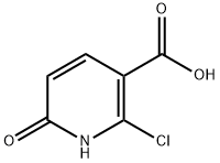 2-氯-6-羟基烟酸