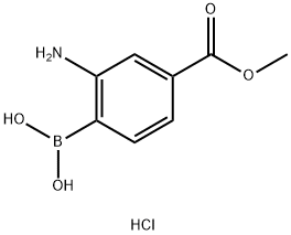 2-氨基-4-甲氧羰基苯基硼酸盐酸盐