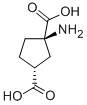 cis-ACPD