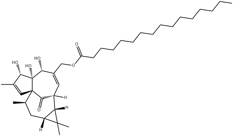 Ingenol 20-palmitate