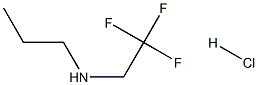 405879-02-9