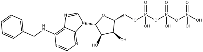 N6-Benzyl-ATP