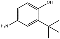 4-氨基-2-(叔丁基酚