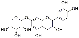 Catechin 7-O-xyloside