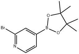 2-溴吡啶-4-硼酸频哪酯