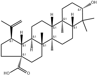 白桦脂酸