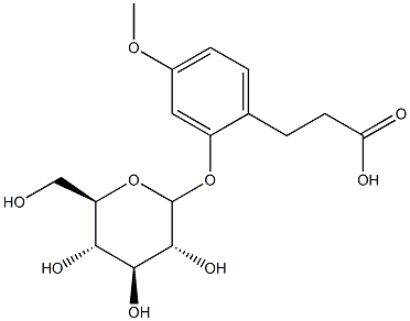 3-(2-Glucosyloxy-4-methoxyphenyl)propanoic acid