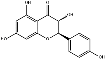 Aromadendrin