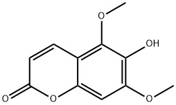 白蜡树精