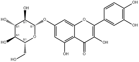 槲皮素-7-O-&beta;-D-葡萄糖苷