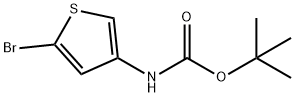 2-溴-4-(N-叔丁氧羰基胺基)噻吩