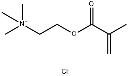 甲基丙烯酰氧乙基三甲基氯化铵