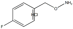 4-氟苄氧胺盐酸盐