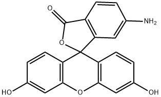 6-氨基荧光素