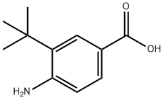 4-amino-3-(tert-butyl)benzoicacid