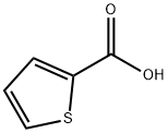 噻吩-2-羧酸