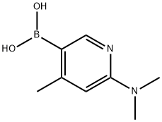 6-二甲氨基-4-甲基吡啶-3-硼酸