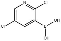 2,5-二氯吡啶-3-硼酸