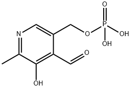 5-磷酸吡哆醛