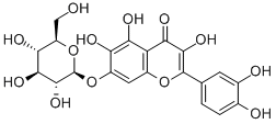 槲皮万寿菊素-7-O-β-吡喃葡萄糖苷