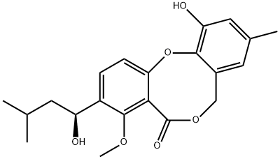 Penicillide