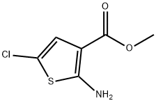 2-氨基-5-氯噻吩-3-甲酸甲酯