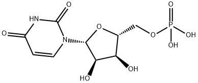 Uridine-5'-phosphate
