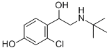 HOKU-81