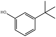 3-叔丁基苯酚