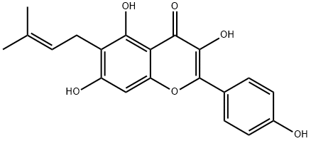 甘草黄酮醇