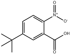 5-(tert-butyl)-2-nitrobenzoicacid