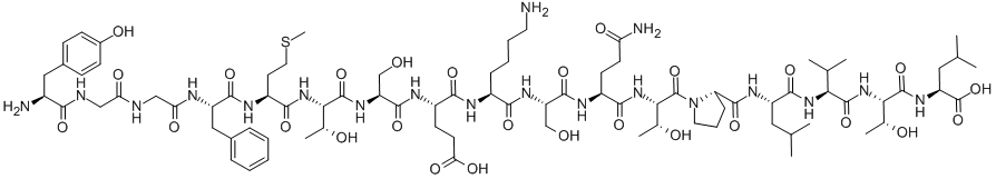 γ-Endorphin